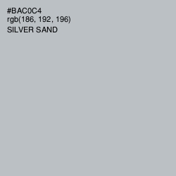 #BAC0C4 - Silver Sand Color Image